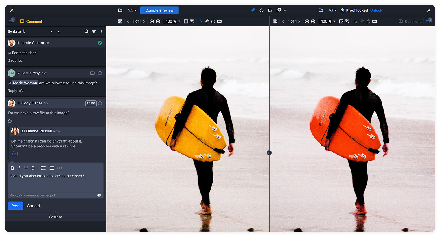 Proofs version comparison of Ziflow side by side layout in a proof viewer